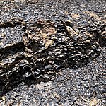 Photo taken by Linda M