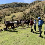 Photo taken by Mike B