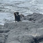 Photo taken by Gary W