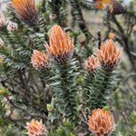 Photo taken by Sharon J