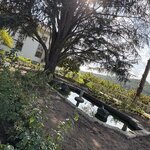 Photo taken by Shelley H