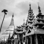 Photo taken by Terrence Y