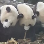 Photo taken by marianne d