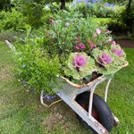 Photo taken by Eliza M