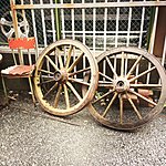 Photo taken by Genevieve C