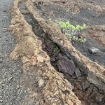 Photo taken by Thomas L