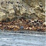 Photo taken by Stefani C