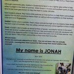 Photo taken by Daniel S