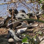 Photo taken by Adriene A