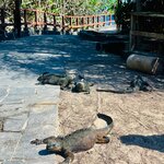 Photo taken by Katarzyna W