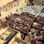 Fes tannery | Photo taken by Victoria M