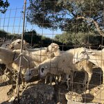 Photo taken by Martha L