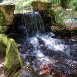 Photo taken by Mike T