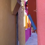 Photo taken by Narayani D