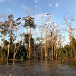 The rainy season on Mocagua Island | Photo taken by Sophie E