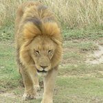 Photo taken by Kristin M