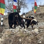 Photo taken by Gabriela M