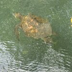 Photo taken by Mark A