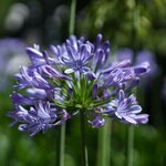 Photo taken by Eric T