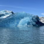 Photo taken by Anita H