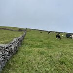 Photo taken by Catherine H