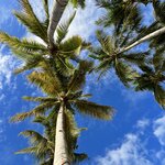 Photo taken by Edit M