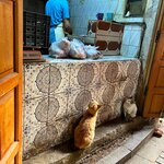 Photo taken by Kris C