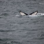 Photo taken by Amanda Z