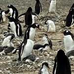 Photo taken by Donna W