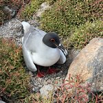 Photo taken by Katherine A