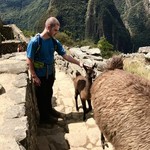 Friendly llama, Macchu Picchu | Photo taken by Janice H