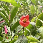 Photo taken by Samantha S