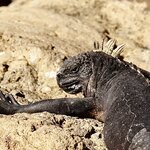 Photo taken by Sofia W