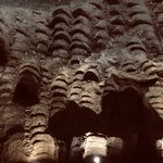 Photo taken by Lisa R