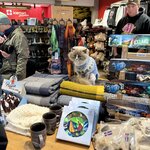 Photo taken by Paula V