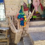 Photo taken by Jenny P