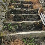 Photo taken by Jon C