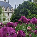 Photo taken by Audrey F