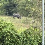 Photo taken by Kim B