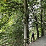 Photo taken by Anita H