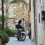 Photo taken by Kathleen S