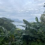 Photo taken by Joyce C