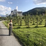 Photo taken by Kara R