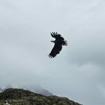 Photo taken by Justin W