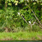 Photo taken by William R