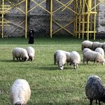 Photo taken by Bayard T