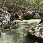 Photo taken by Shaula L