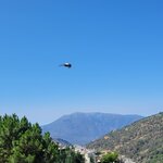 Photo taken by Denise F