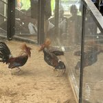 Photo taken by Brian W