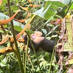 Photo taken by Samantha S